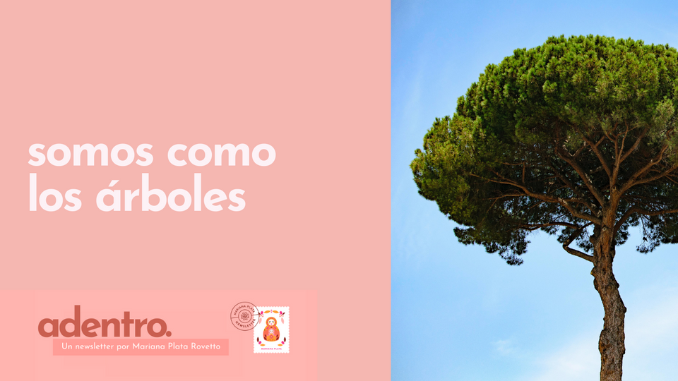 Somos como los árboles🌳