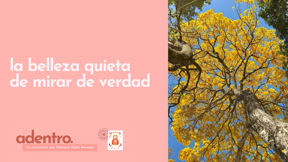 La belleza quieta de mirar de verdad🦉